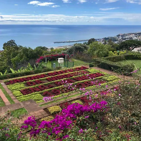 Sol & Mar Camara de Lobos